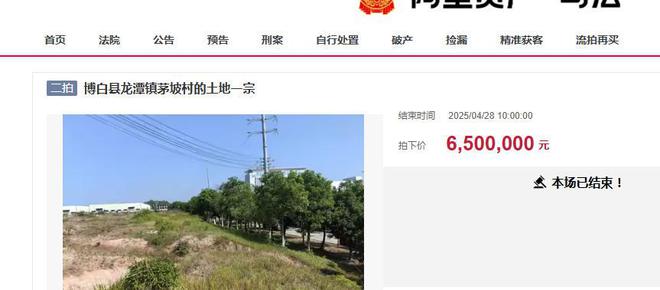 地91亩工厂拍卖被人底价2063万元竞得麻将胡了模拟器试玩玉林龙潭产业园一个占(图3)
